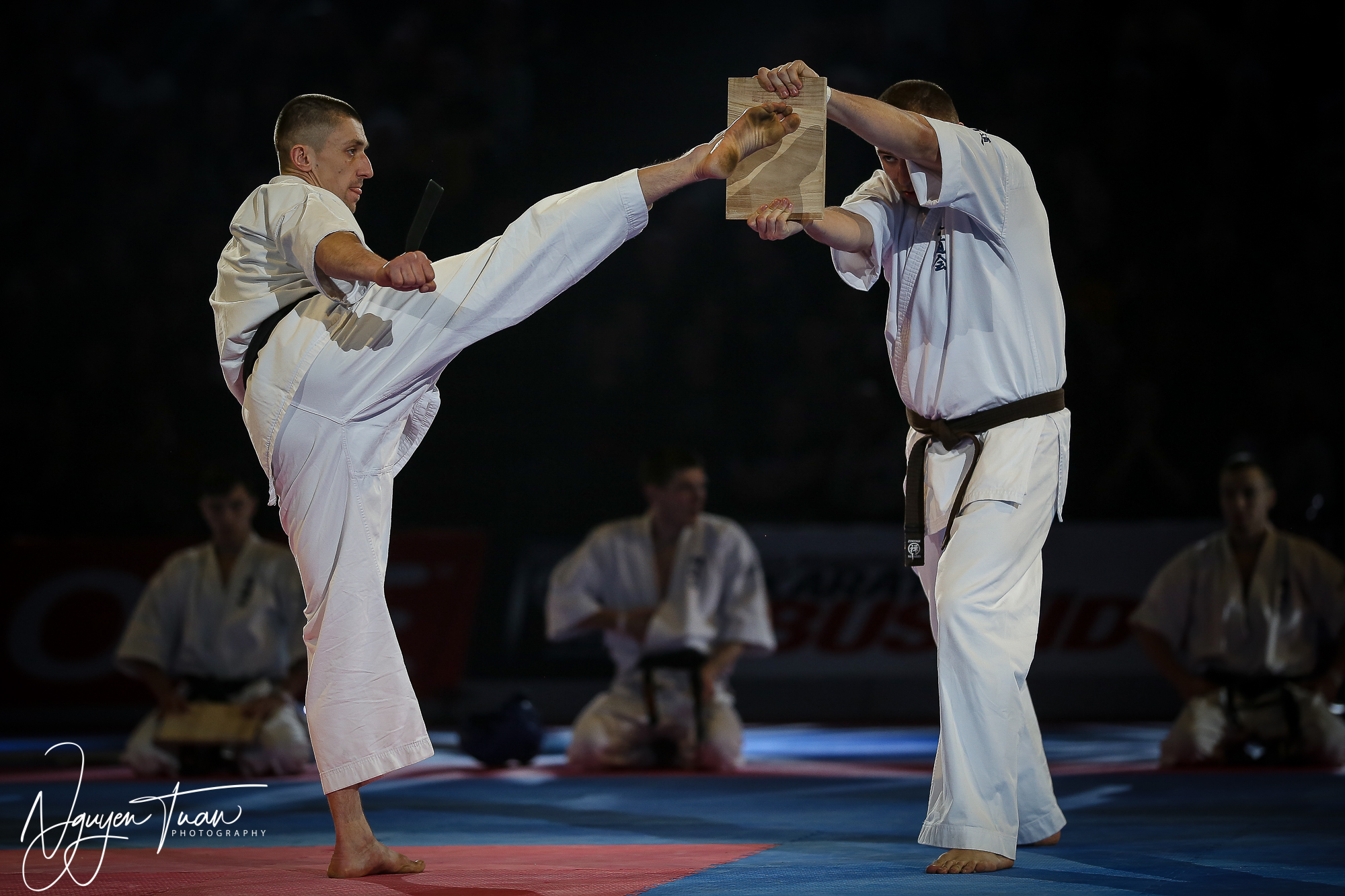 20190324 Festival des Arts Martiaux 3304